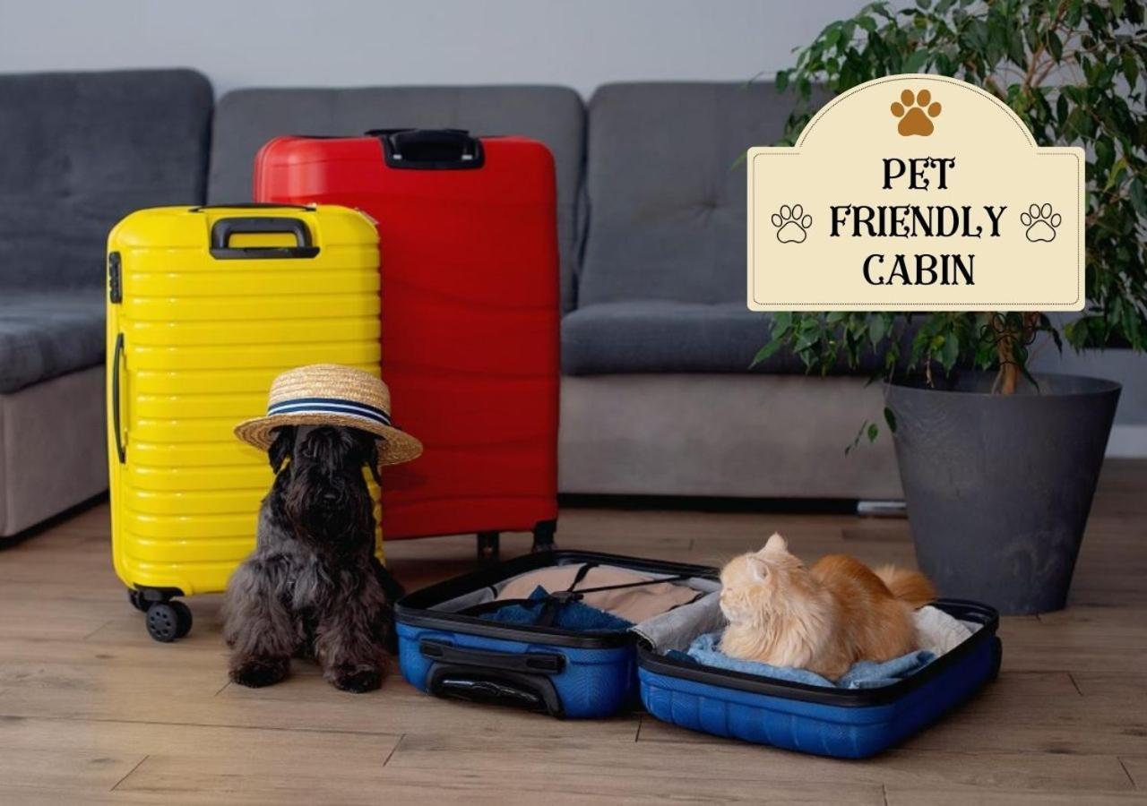 Fabulous Pet-Friendly, Family Cabin With Outdoor Kitchen, Hot Tub, Sauna, Fireplace, Theater Room, Arcade, Pool Table, And Fire Pit Within Minuties Of Dollywood เซอเวียร์วีล ภายนอก รูปภาพ